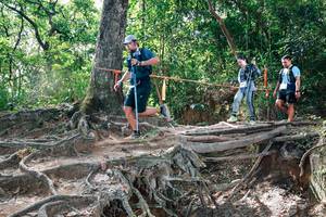 BIB: 
                            <button type="button" onclick="openModal(27720283)" class="btn btn-primary btn-sm float-right btn-popup" data-toggle="modal" data-target=".modal-high-quality">
                        <i class="fas fa-shopping-cart"></i> Add to Cart
                    </button>
                                            <button type="button" onclick="isThisMe(27720283, true)" class="btn btn-success btn-sm float-right btn-popup btn-isme hidden" data-toggle="tooltip" data-placement="bottom" title="นี่คือรูปของคุณใช่ไหม คลิกที่นี่เพื่อเอาเข้าอัลบั้ม">
                        <i class="fas fa-plus"></i> Add to album
                    </button>
                    <button type="button" onclick="isThisMe(27720283, false)" class="btn btn-warning btn-sm float-right btn-popup btn-isnotme hidden">
                        <i class="fas fa-ban"></i> Remove from album
                    </button>